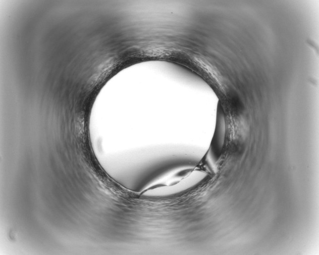X0000093160407200710241024