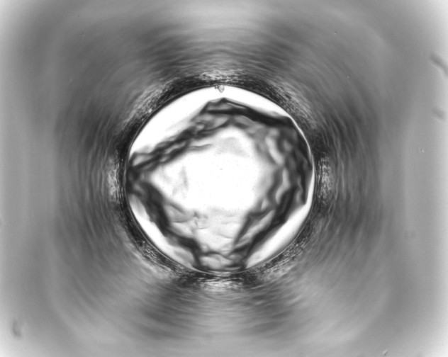 X0000093160408200710241024