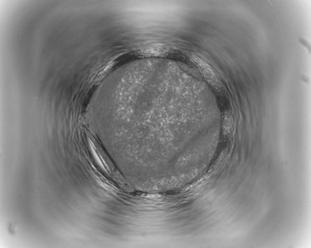 X0000093160409200710241024