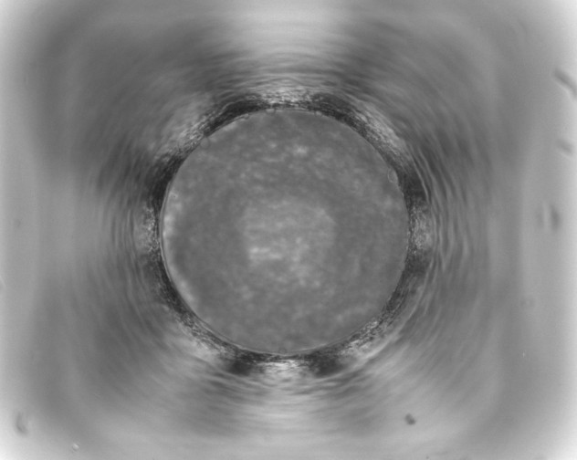X0000093160411200710241024