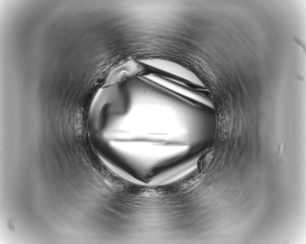 X0000093160416200710241024