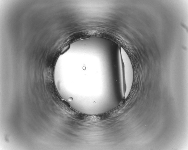 X0000093160421200710241024