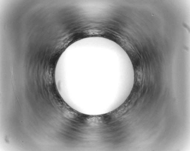 X0000093160422200710241024
