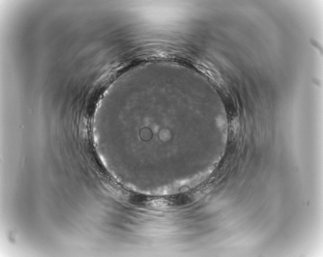 X0000093160423200710241024