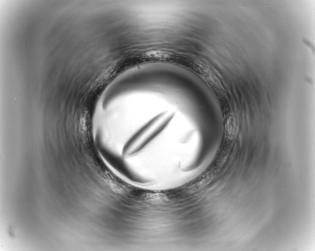 X0000093160424200710241024