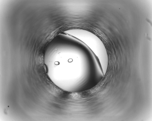 X0000093160425200710241024