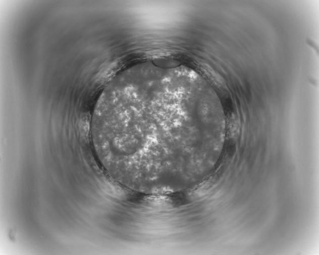 X0000093160427200710241024