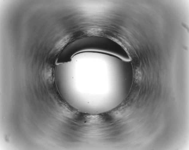 X0000093160428200710241024