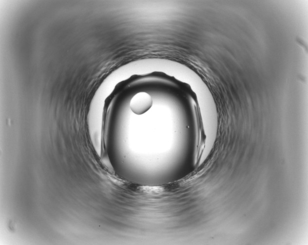 X0000093160429200710241023