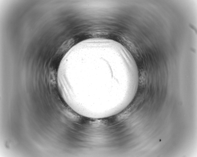 X0000093160430200710241023