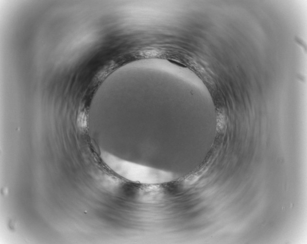 X0000093160431200710241023