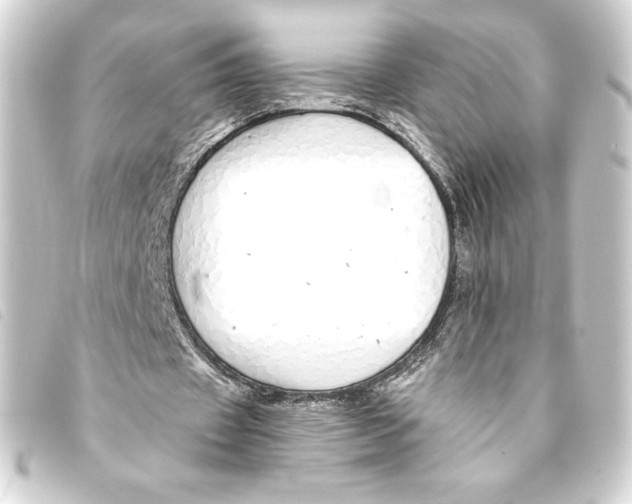 X0000093160433200710241023