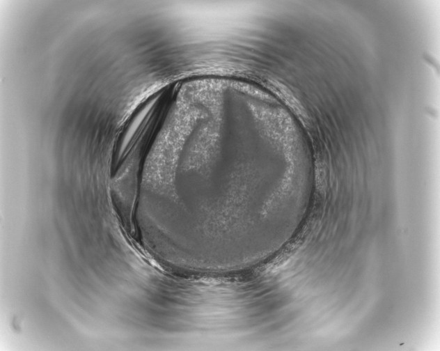 X0000093160434200710241023