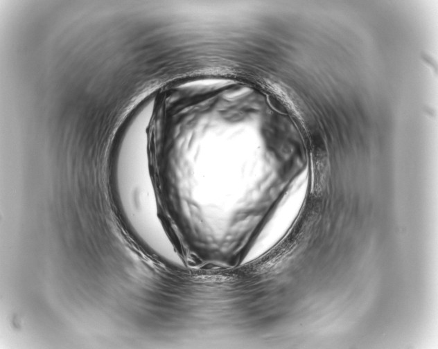 X0000093160435200710241023