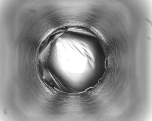 X0000093160436200710241023