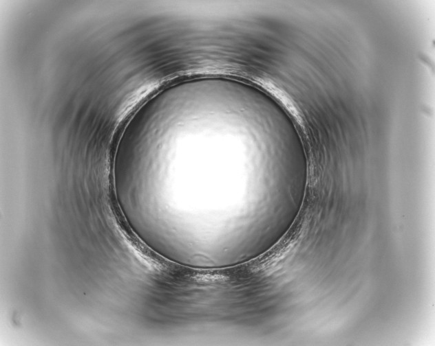 X0000093160437200710241023