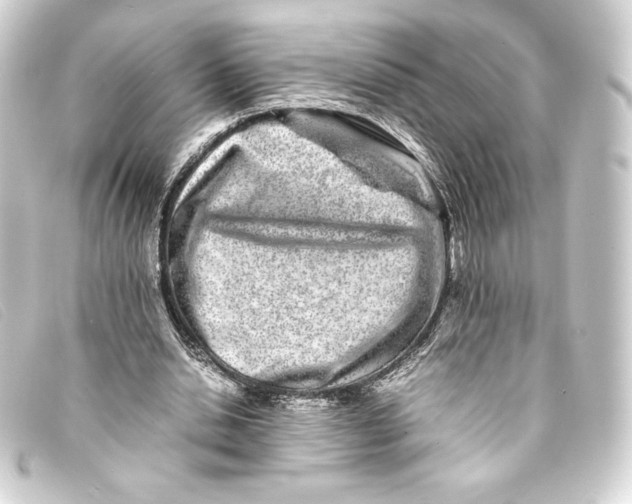X0000093160438200710241023