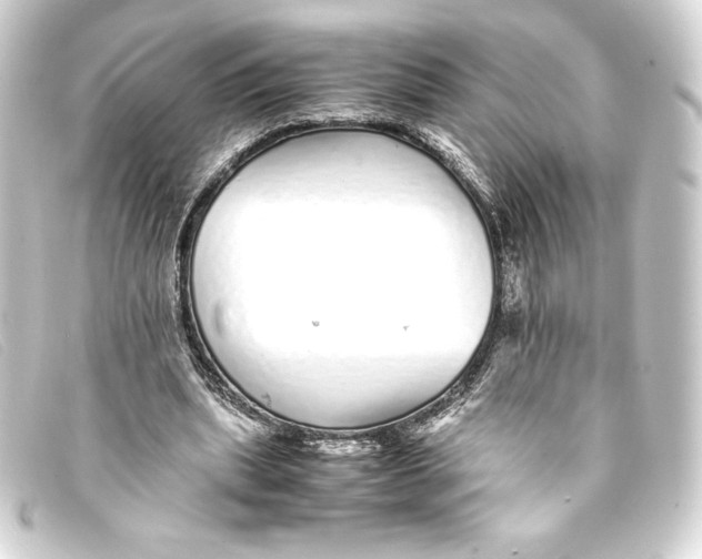 X0000093160439200710241023