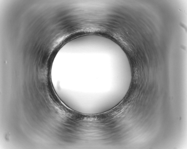 X0000093160440200710241023