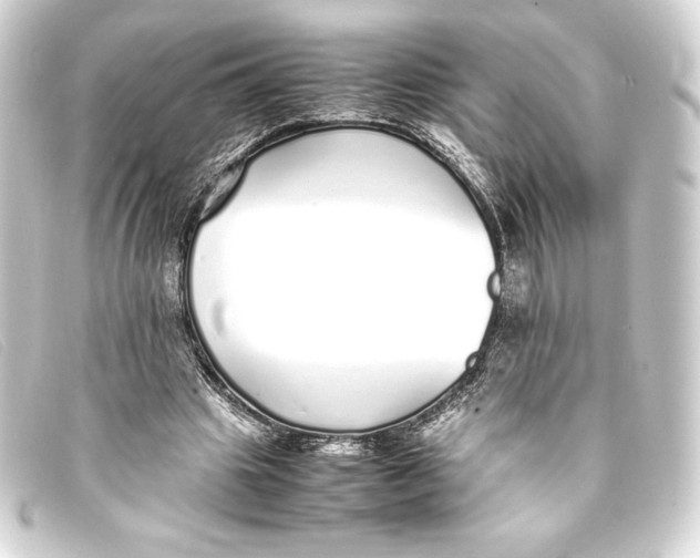 X0000093160441200710241023