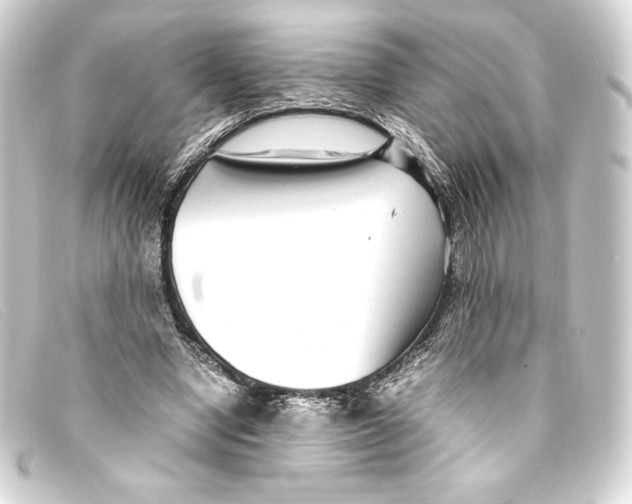 X0000093160442200710241023