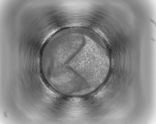 X0000093160444200710241023
