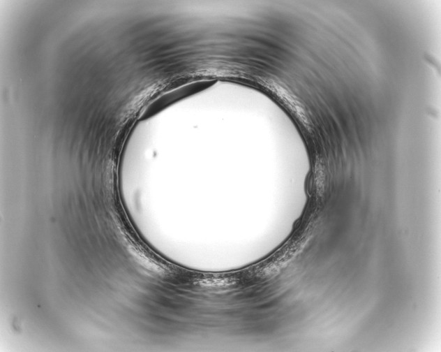 X0000093160445200710241023
