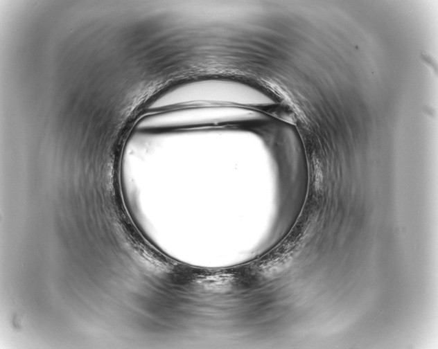 X0000093160447200710241023