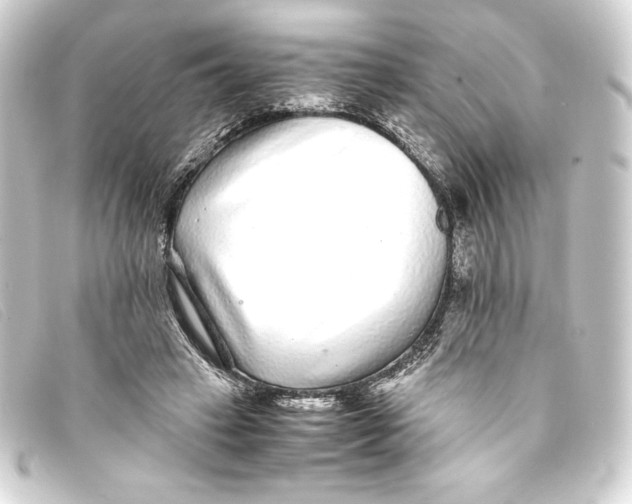 X0000093160449200710241023