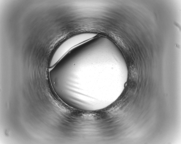 X0000093160450200710241023