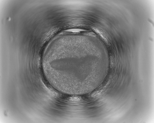X0000093160451200710241023