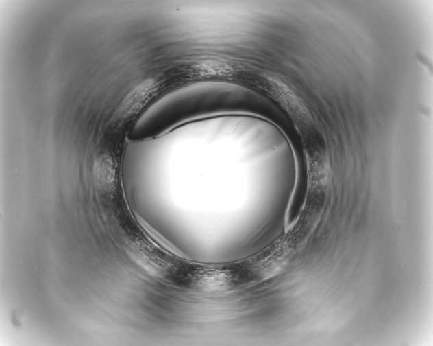 X0000093160456200710241023