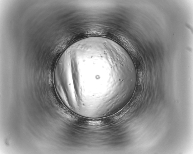 X0000093160457200710241023