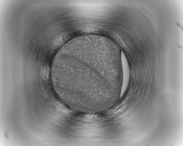 X0000093160458200710241023