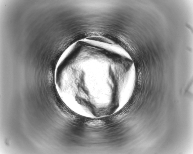 X0000093160459200710241023