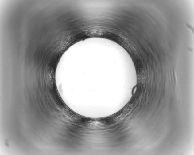 X0000093160460200710241023