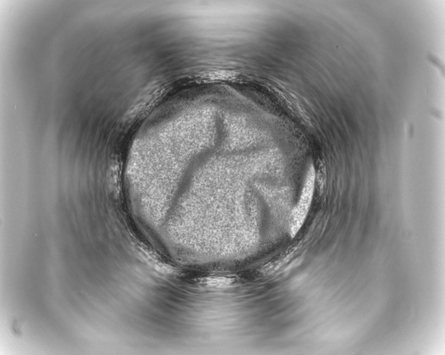 X0000093160462200710241023