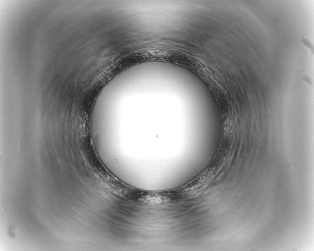 X0000093160464200710241023