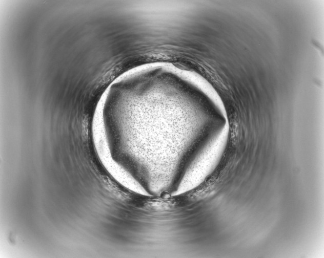 X0000093160466200710241023