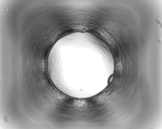 X0000093160469200710241023