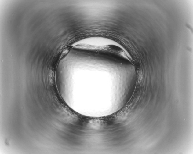 X0000093160470200710241023