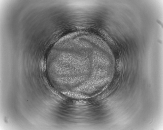 X0000093160471200710241023