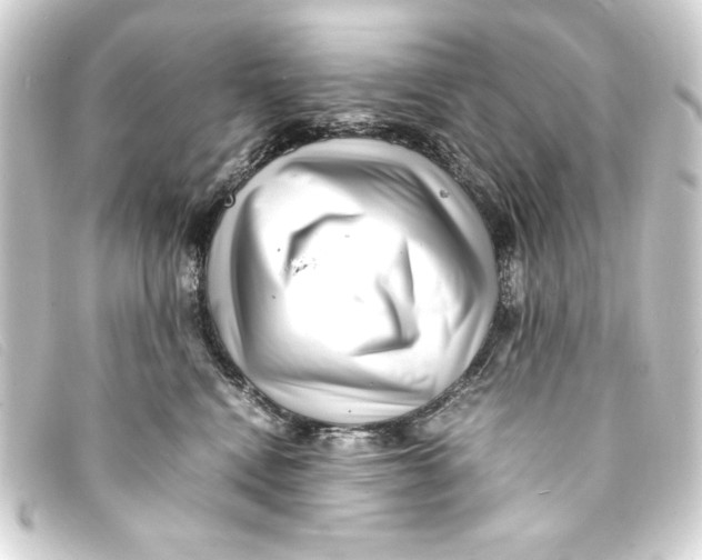 X0000093160472200710241023