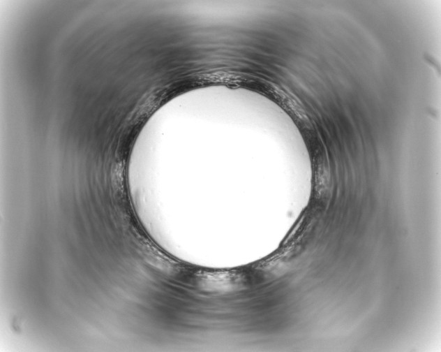 X0000093160473200710241023