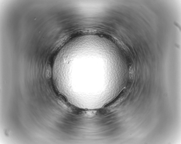 X0000093160474200710241023