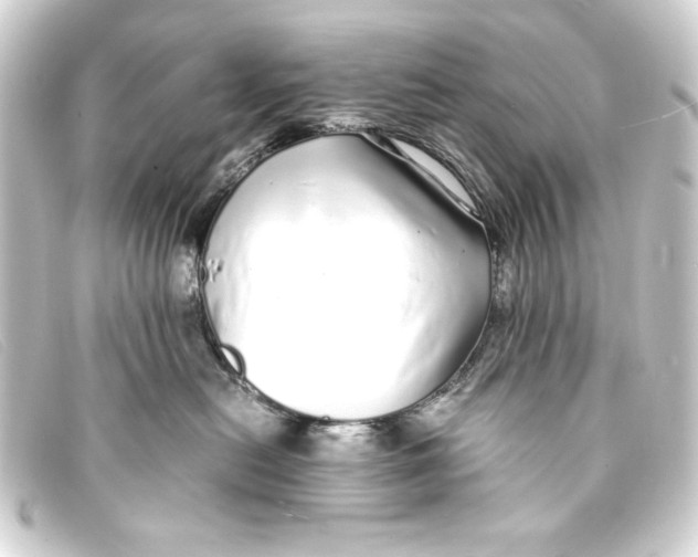 X0000093160478200710241023