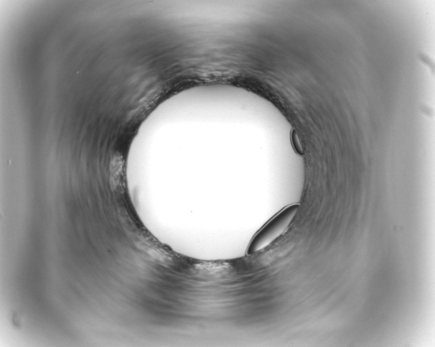 X0000093160480200710241023