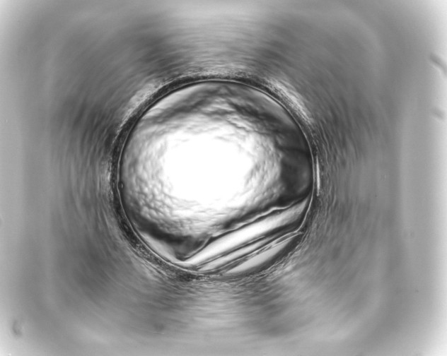X0000093160483200710241023