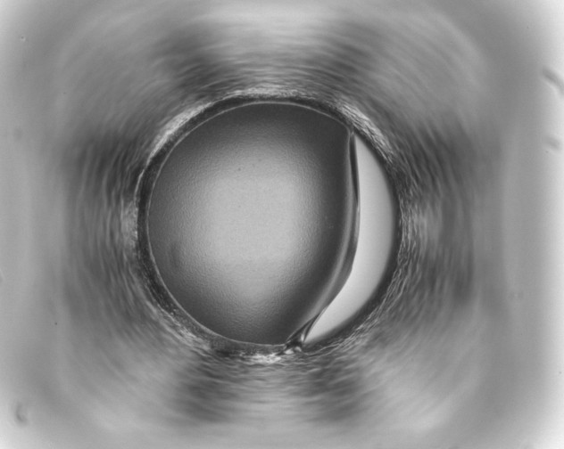 X0000093160484200710241023
