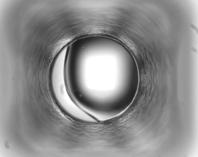 X0000093160485200710241023